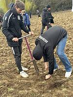 4000 neue Bäume für Sachsen