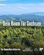 Mein Baum für Sachsen